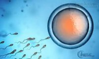 Thực phẩm giúp quý ông bảo vệ tinh binh tăng khả năng làm bố