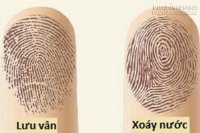 Người nào có kiểu vân tay này đều gặp được quí nhân phù trợ