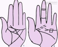 Bàn tay năng khiếu về khoa học thần bí