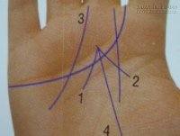 Xem tài năng và thành công qua đường Thái Dương trong lòng bàn tay