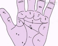 Nốt ruồi trong lòng bàn tay nói gì?