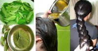Bí quyết làm tóc dày, mượt và mọc siêu tốc với hỗn hợp kì diệu này