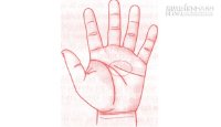 Xem tướng bàn tay đoán vận mệnh cho những người kết hôn vẫn cô đơn