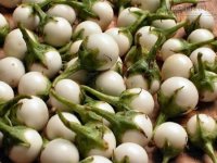 Học 7 bài thuốc chữa bệnh từ cà pháo