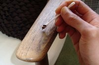 Cà phê và những công dụng bạn chưa biết