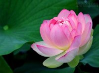 Nhìn mặt chọn người lương thiện để kết bạn