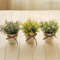 Văn phòng như ý nhờ trang trí cây hoa đúng màu