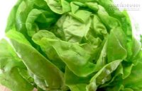 Xà lách - thần dược trong các loại thực phẩm rẻ tiền