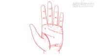 Xem tướng tay để biết tình duyên và tính cách của nam giới