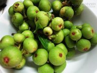 Đánh bật sỏi mật không cần mổ nhờ bài thuốc thần thánh