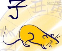 Vận hạn tuổi Bính Tý nam mạng 1996 năm 2016