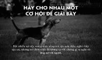 Hãy cho nhau một cơ hội để giãi bày