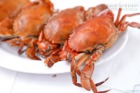 Bất kỳ ai cũng phải biết 55 mẹo giải độc khi bị ngộ độc thực phẩm