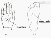 Mẹo hay khỏi mất ngủ tức khắc mà không cần dùng thuốc