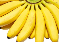 Mơ thấy Chuối lành hay giữ