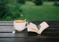 Sống cuộc đời ưu nhã tựa đóa quỳnh nở rộ giữa trời đêm