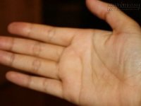 Dự báo số phận sướng khổ qua những đường chỉ tay đặc biệt
