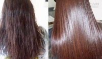 Ủ dưỡng mọi loại tóc với các công thức kỳ diệu