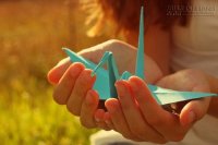 Dự đoán 5 cung hoàng đạo may mắn nhất tháng 12