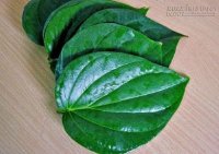 Mẹo hay trong dân gian giúp bạn đi ngàn dặm không bị say tàu xe