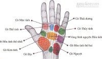 Các gò lòng bàn tay và lá số tử vi