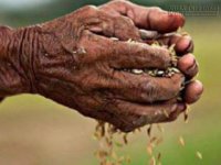 Nhìn tướng tay bói nguy cơ nghèo khó mạt vận