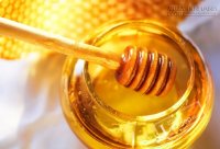 4 loại thuốc kháng sinh tự nhiên mạnh mẽ ít người biết