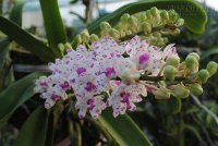 10 câu chuyện kinh điển về giáo dục rất đáng để suy ngẫm (P.2)