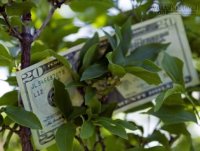 Chọn đúng hướng cửa phú quý để sự nghiệp lên như diều gặp gió