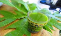 Lá đu đủ: Ngăn ngừa ung thư và chống lại vô số bệnh nguy hiểm