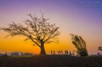 9 điểm đến ở Buôn Ma Thuột đẹp không thể tin nổi