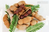 Bị những bệnh sau chỉ cần ăn quả me là khỏi