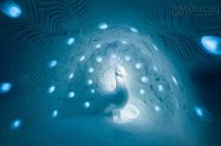Chiêm ngưỡng khách sạn băng tuyết độc đáo ​The Ice Hotel