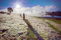 Thiên đường bên suối Vàng