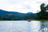 Vẻ mê hoặc của hồ Tuyền Lâm sáng sớm mùa đông