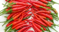Người bị yếu sinh lý nên kiêng ăn gì?
