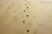 Nỗ lực rất quan trọng, nhưng lựa chọn còn quan trọng hơn!