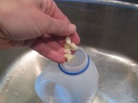 Tự làm thuốc trừ sâu từ tỏi, ớt, vỏ trứng cho vườn cây trong nhà