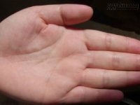 Ý nghĩa những đường chỉ tay nhỏ