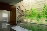 Trồng cây cảnh hợp mệnh, rước tài lộc vào nhà