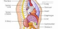 Biết bí quyết này, mọi loại bệnh đều được phát hiện từ rất sớm