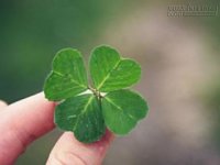 3 con giáp liên tục gặp may mắn trong 5 năm tới