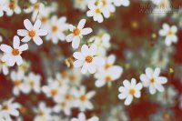 Đầu năm làm 7 việc này thì cả năm gặp may mắn!