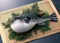 Đặc sản cá nóc kịch độc tiền triệu, một miếng giết chết 30 người