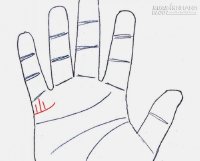 Xem bói tay và những sai lầm về bói chỉ tay