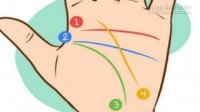 Nếu tay bạn nằm trong 6 loại bàn tay này, bạn sung túc cả đời
