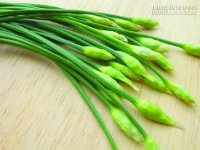 Cây hẹ chữa bệnh đau nhức răng hiệu quả