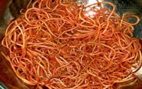 Cứ 100 người Việt thì có tới 95 người mang thứ này trong… bụng