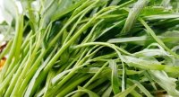 Bạn thuộc 1 trong 4 đối tượng này thì tuyệt đối không ăn rau muống