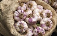 Mẹo hay trị mùi hôi chân: Lấy độc trị độc